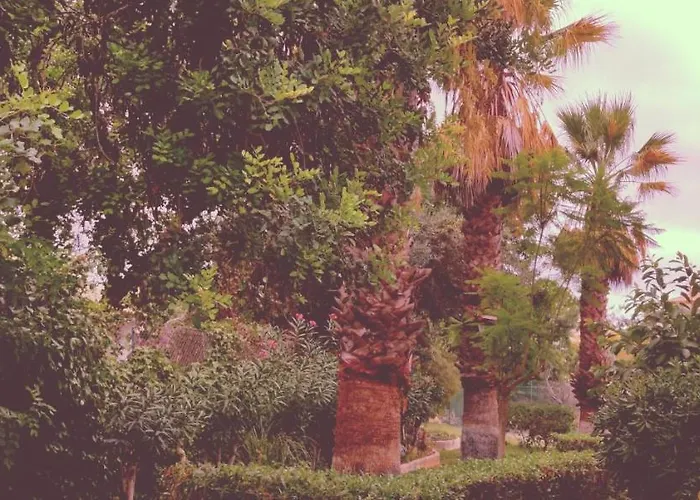 Apartmán Cantinho Azul - Garden *