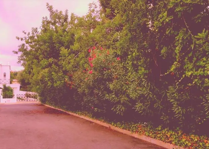 Cantinho Azul - Garden *