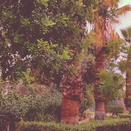Apartment Cantinho Azul - Garden *